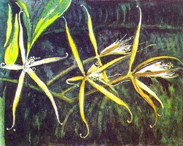 Где у растения дом ОРХИДЕЯ