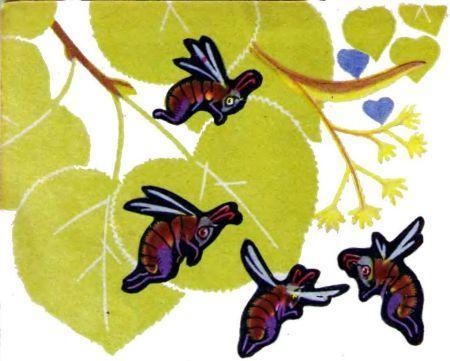пчёлки