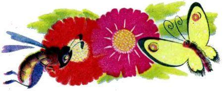 Где живет аппетит