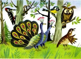 сказка: Глупый Шишо филин сова и павлины