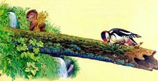 дятел на дереве