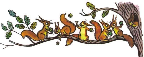 белки белочки на ветви дерева