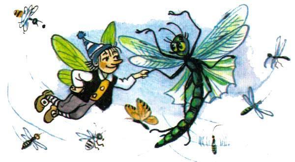 насекомые и гном