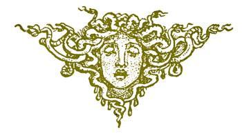 Голова Горгоны 10