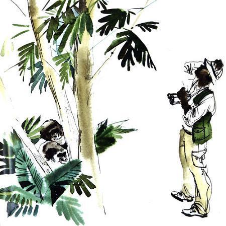 Горилла, которая хотела повзрослеть (повесть) Горилла, которая хотела повзрослеть