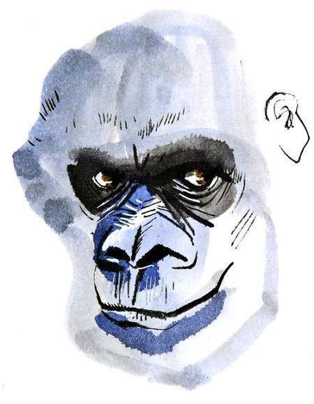 Горилла, которая хотела повзрослеть (повесть) Горилла, которая хотела повзрослеть