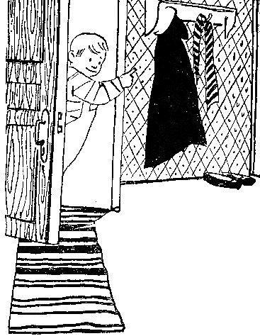 Гость из космоса