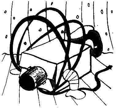 Гость из космоса