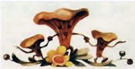 Грибы