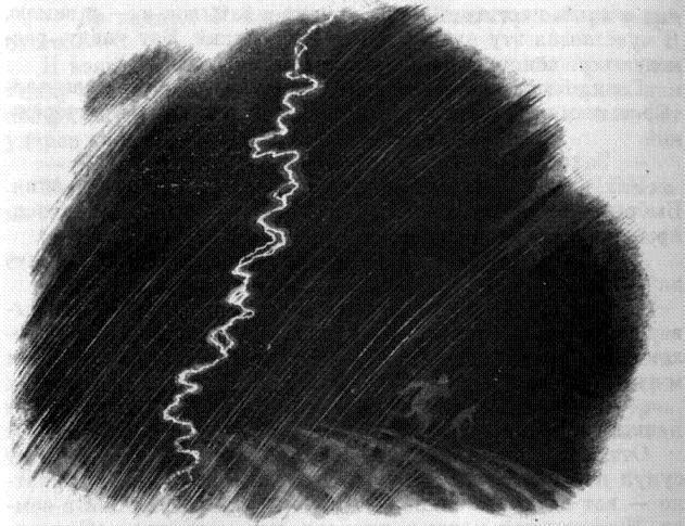 Гроза над картофельным полем