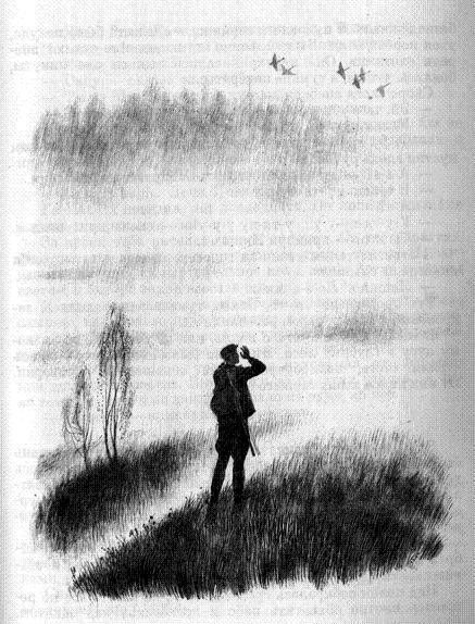 Гроза над картофельным полем