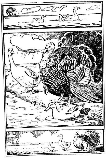 Гусь, утка и индюк