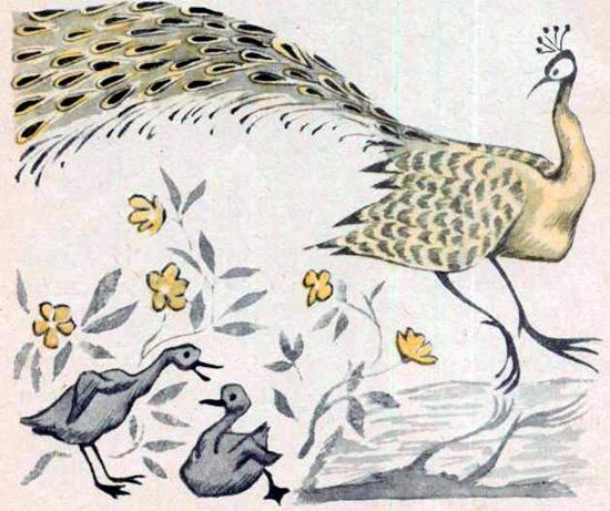 Гуси и павлин