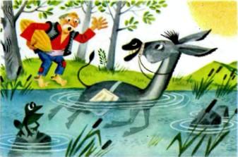 ослик в воде пруду озере реке и дед