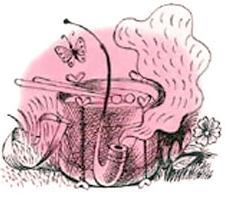 барабан и трубка