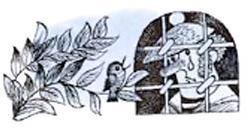 человек за решеткой