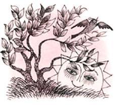 солнце заходит