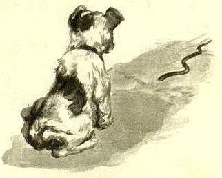 Хорошие путешественники