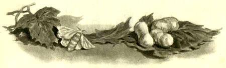 Хорошие путешественники (рассказы) Хорошие путешественники