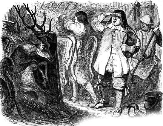 Хозяйский глаз