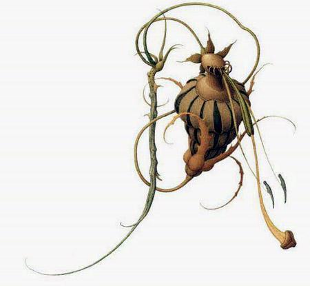 Храбрый портняжка