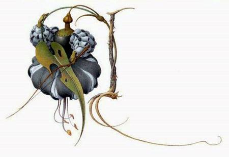 Храбрый портняжка