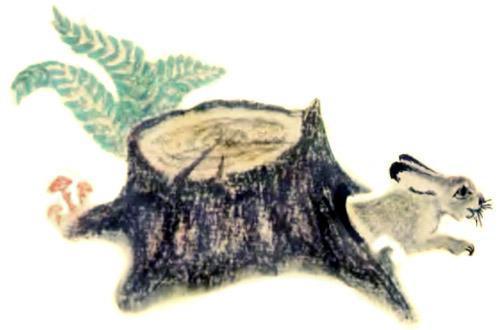 зайчик из под пня