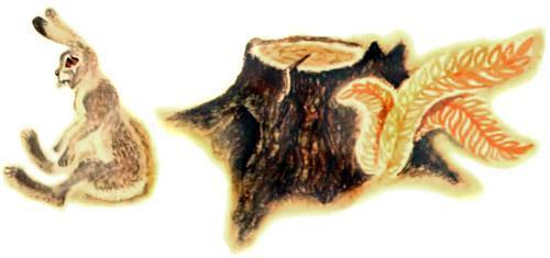 Хвосты (русская сказка) Зайчик сидит в норке, ждёт