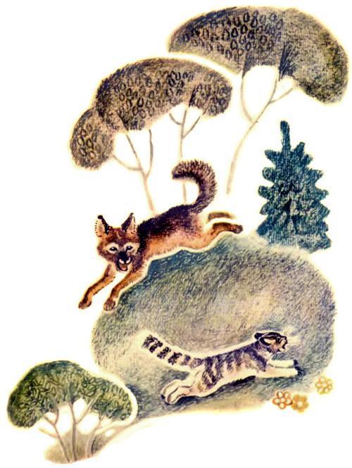 Хвосты (русская сказка) кошка с собакой ссорятся, у кого хвост лучше