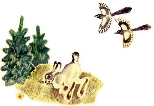 Хвосты (русская сказка) Зайчик