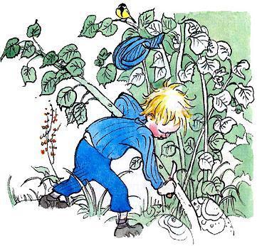 Эмиль забрался в заросли орешника