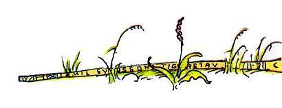 нищенский посох