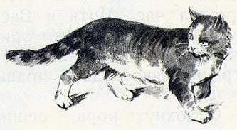 Игра в загадки (рассказы) кот