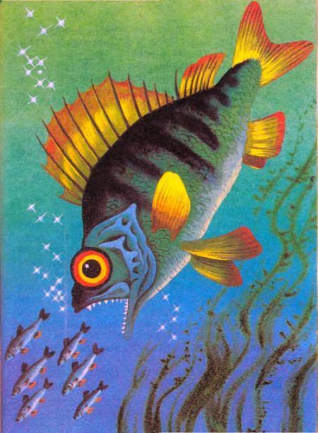 огромный окунь под водой