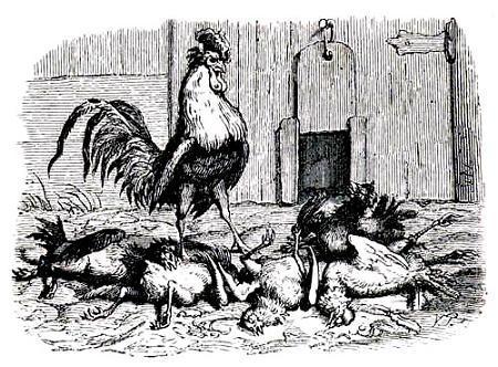 Истинная правда (сказка) петух на дворе