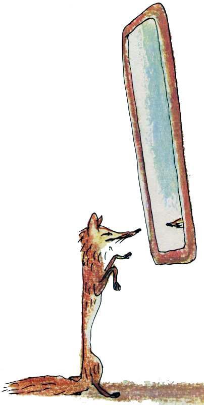 Истории из Бедокурии (сказки) лиса перед зеркалом