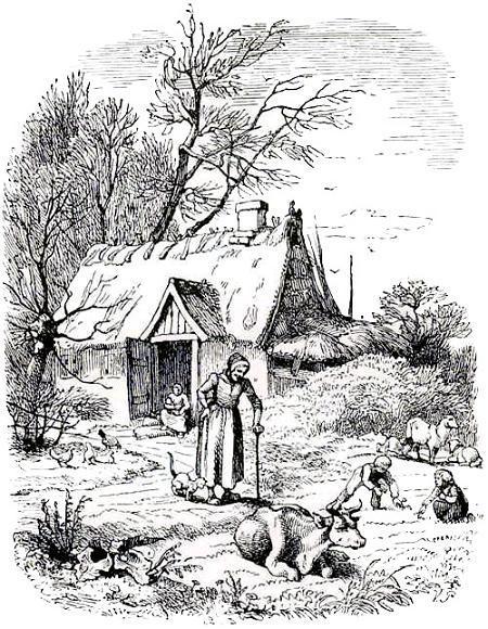 женщина и ее корова