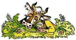 Иван - коровий сын (стих-сказка) корова