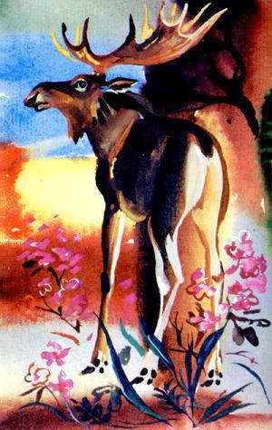 Изюбр и сохатый (сказка) Изюбр и сохатый