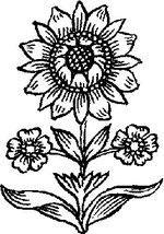 Как Михайло Казаринов от татарского плена девушку спас 52