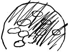 Как было написано первое письмо (сказка) Как было написано первое письмо