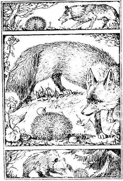 Как еж храбрым стал