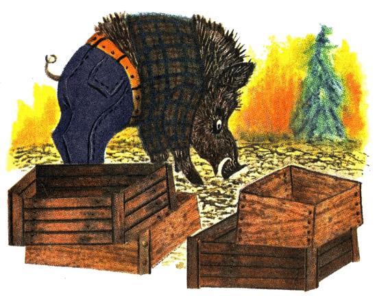 Как кабан картошку сажал (сказка) 21