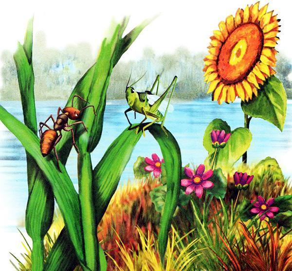 муравей и кузнечик