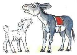 ослик осел и козленок
