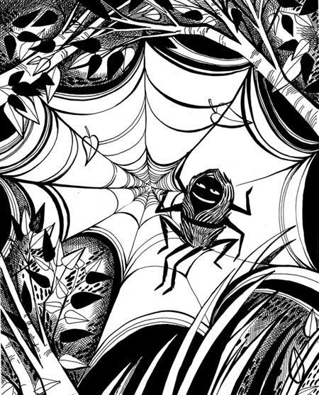 Как паучок стал вождём рода