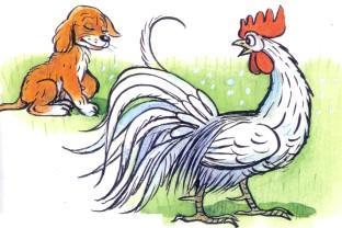 щенок и петух