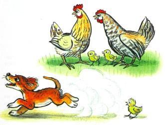 щенок курицы цыплята