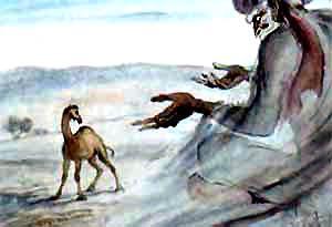 Как верблюд получил свой горб