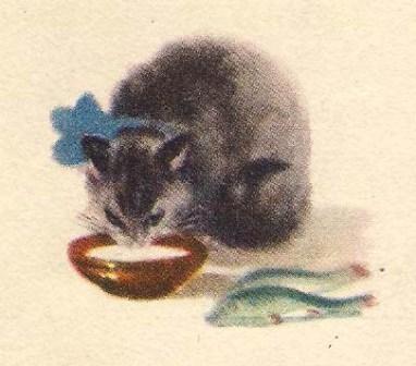 Как я оставался за маму кошка и молоко